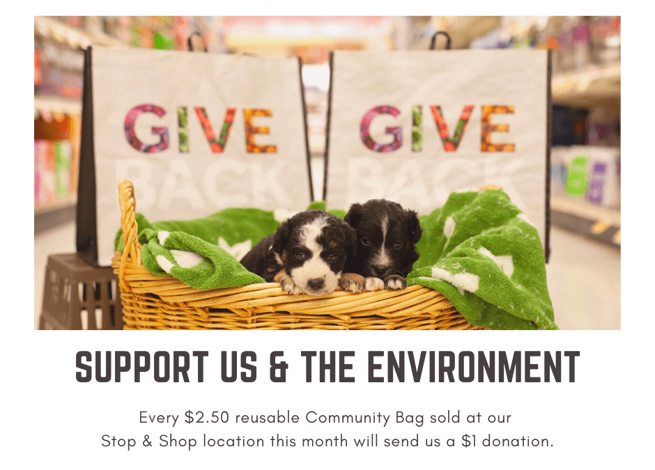 Support the Cultural Alliance at Stop & Shop!
