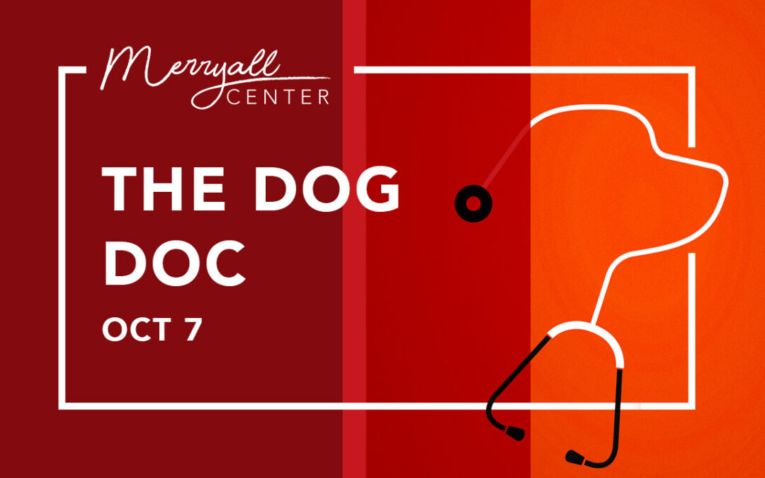 The Dog Doc – Documentary Film